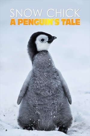 Snow Chick - A Penguin's Tale Poster