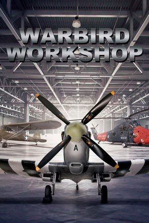 Warbird Workshop Poster