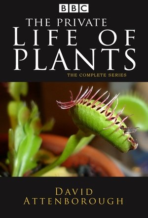 The Private Life of Plants Poster