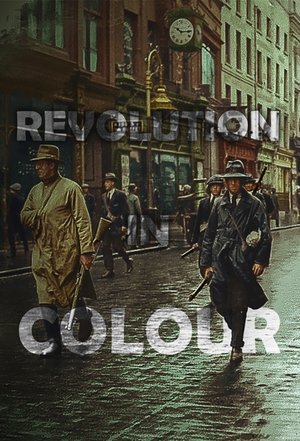 Revolution in Colour Poster