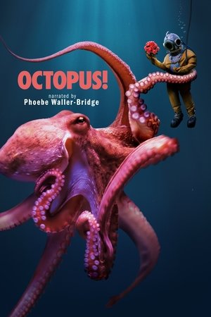 Octopus! Poster