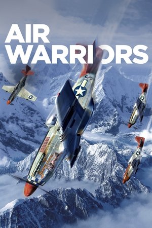 Air Warriors Poster