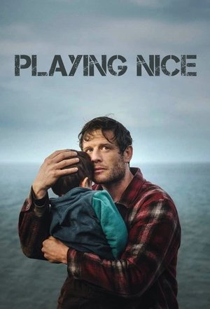 Playing Nice Poster
