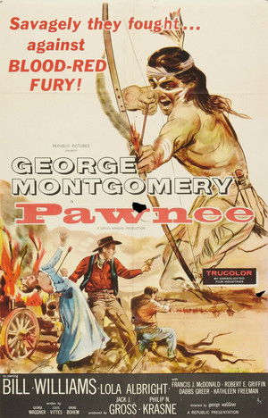 Pawnee Poster