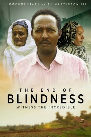 The End of Blindness Poster