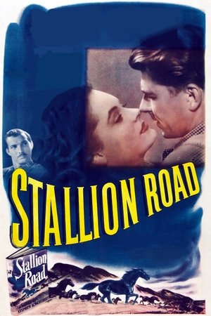 Stallion Road Poster