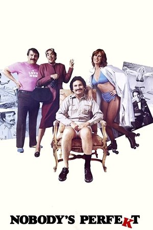 Nobody's Perfekt Poster