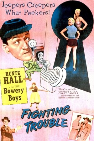 Fighting Trouble Poster