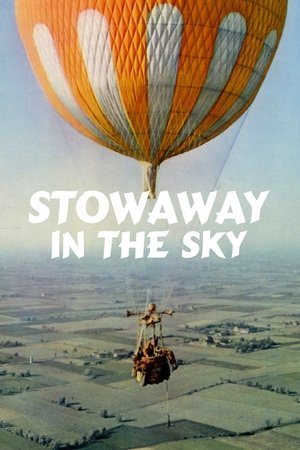 Stowaway in the Sky Poster