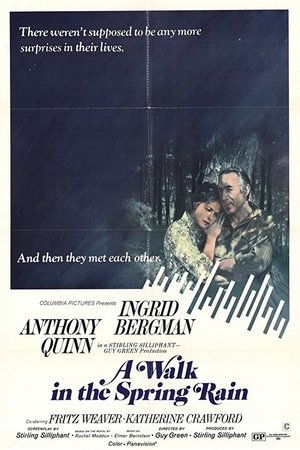 A Walk in the Spring Rain Poster