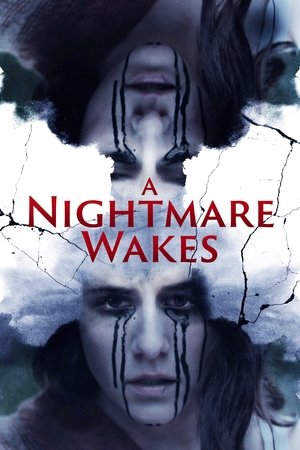 A Nightmare Wakes Poster