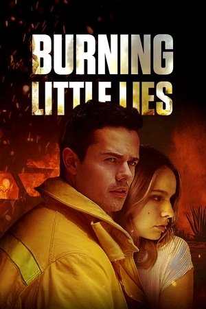 Burning Lies Poster