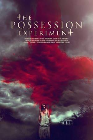 The Possession Experiment Poster