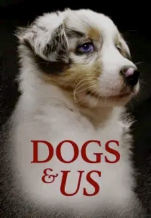Dogs and Us: The Secret of a Friendship Poster