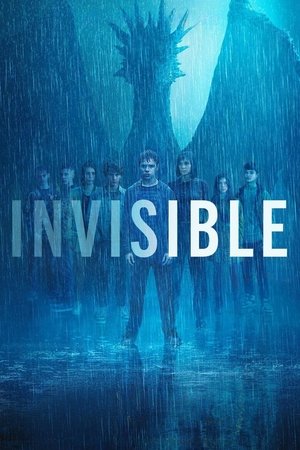 Invisible Poster