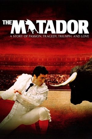 The Matador Poster