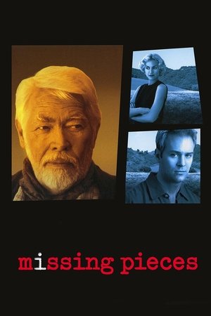 Missing Pieces Poster