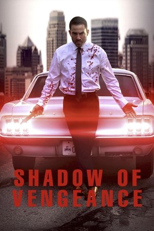 Shadow of Vengeance Poster