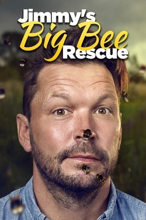 Jimmy's Big Bee Rescue Poster