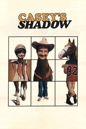 Casey's Shadow Poster