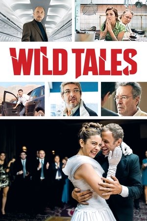 Wild Tales Poster