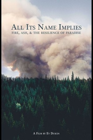 All Its Name Implies Poster