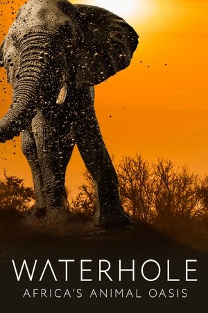 Waterhole: Africa's Animal Oasis Poster