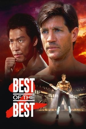 Best of the Best 2 Poster