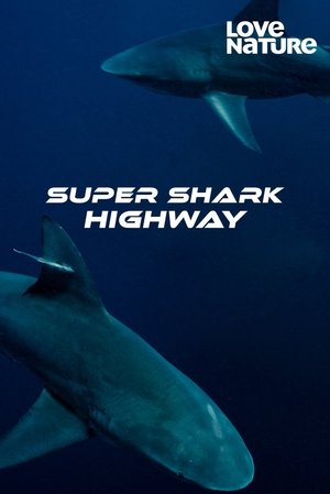 Super Shark Highway Poster