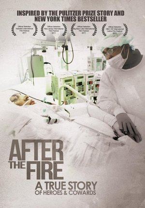 After the Fire Poster
