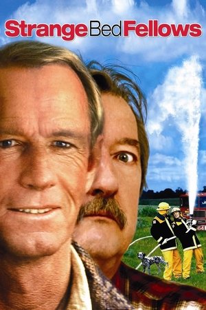 Strange Bedfellows Poster