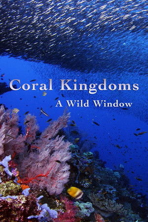 A Wild Window: Coral Kingdoms Poster