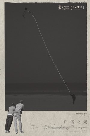 The Shadowless Tower Poster