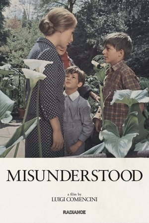 Misunderstood Poster