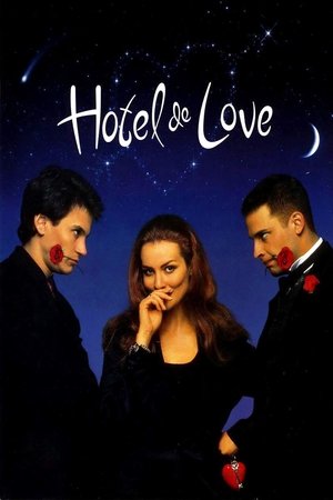 Hotel de Love Poster