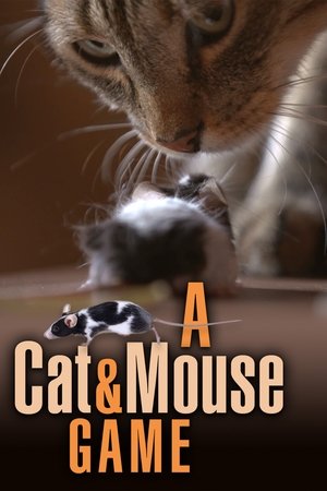 A Cat and Mouse Game Poster