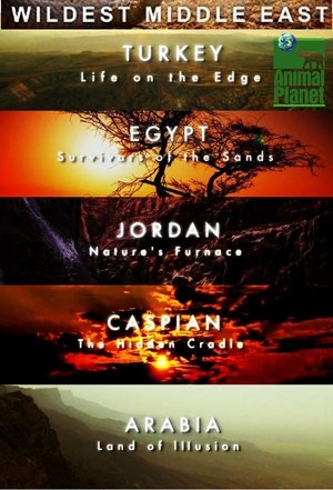 Wildest Middle East Poster