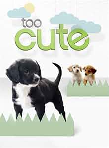 Too Cute Poster